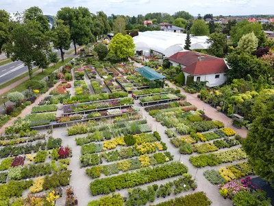 Centrum Ogrodnicze Sójka / Ogród Marzeń